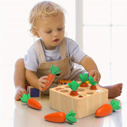Montessori learning toy gift for boys and girls